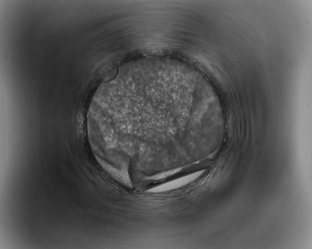 X0000096160964200802151411