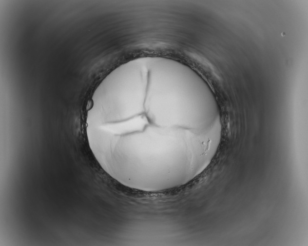 X0000096160966200802151411