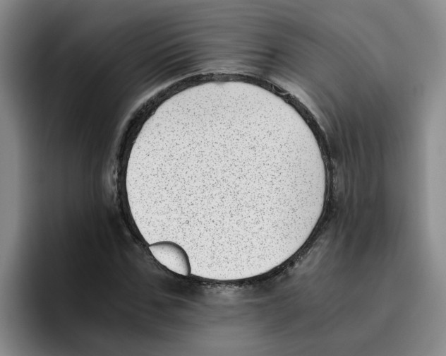 X0000096160971200802151411