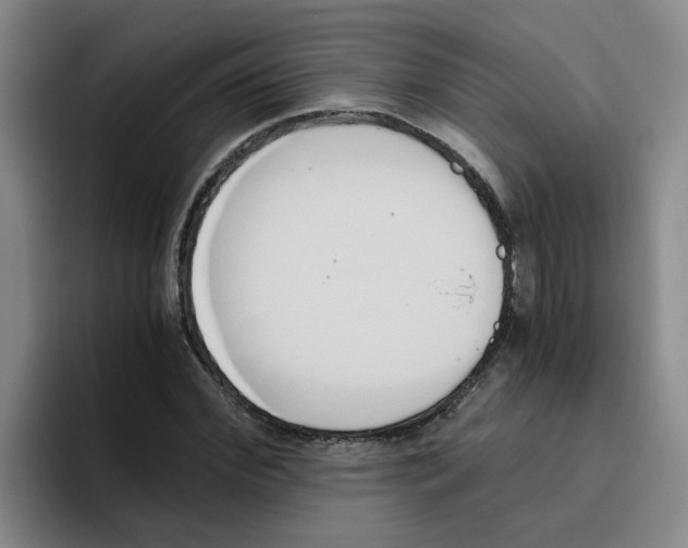 X0000096160972200802151411