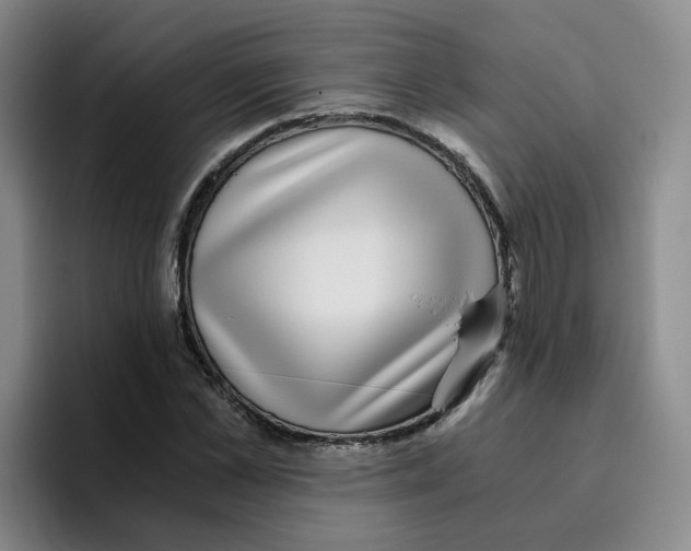 X0000096160973200802151411