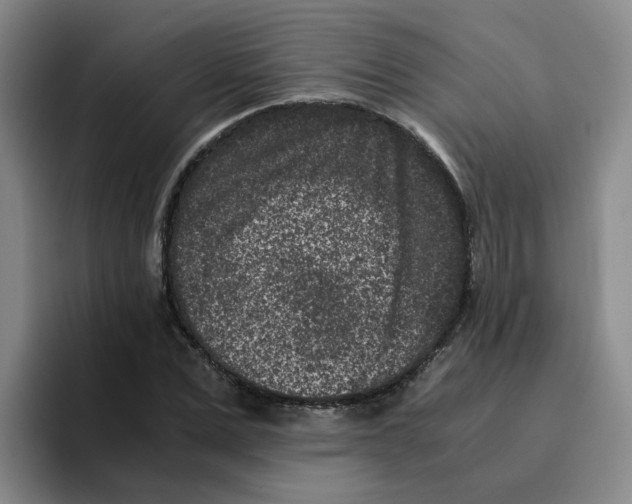 X0000096160975200802151411