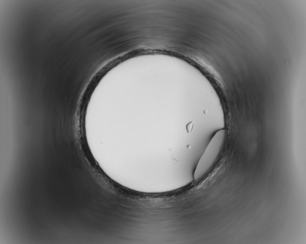 X0000096160976200802151411