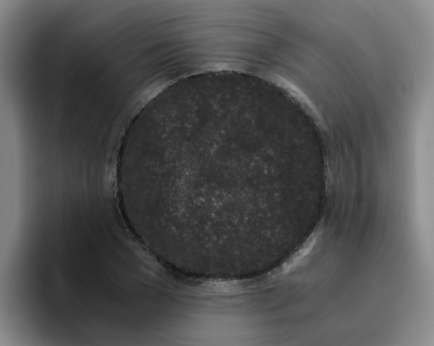 X0000096160977200802151411