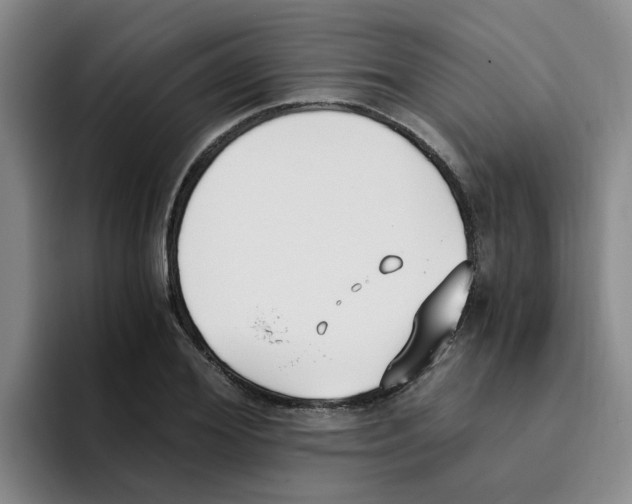 X0000096160980200802151411