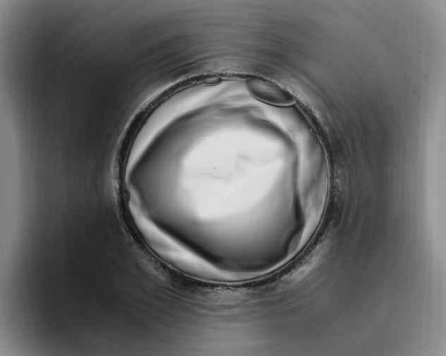 X0000096160981200802151411