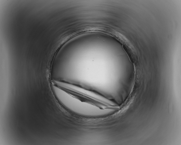 X0000096160985200802151411