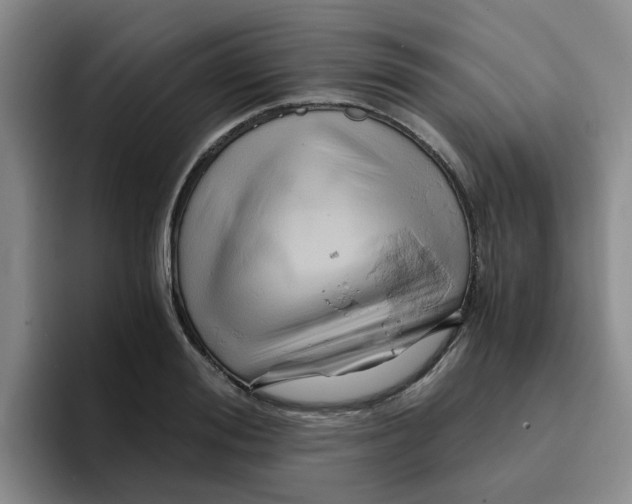 X0000096160988200802151411