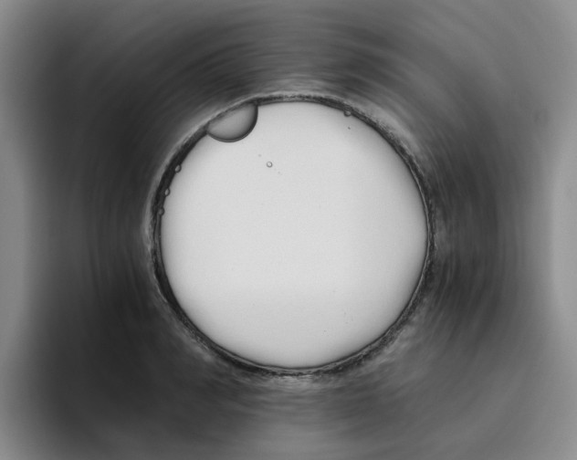 X0000096160990200802151411