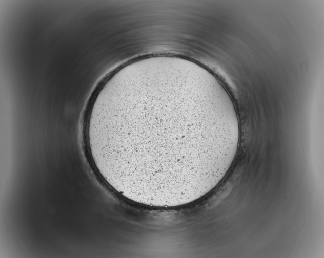 X0000096160991200802151411