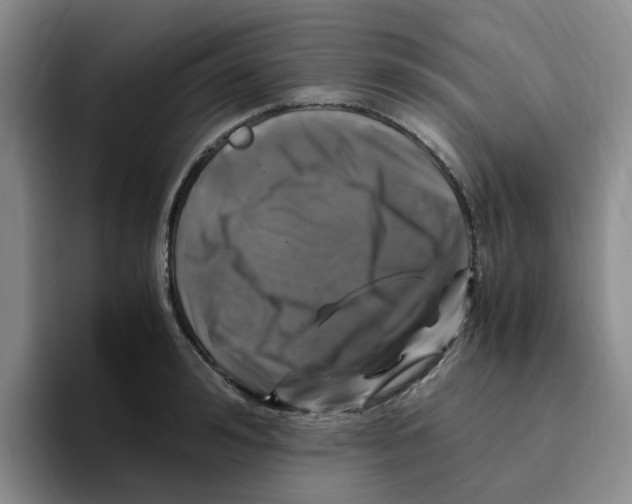 X0000096160992200802151411