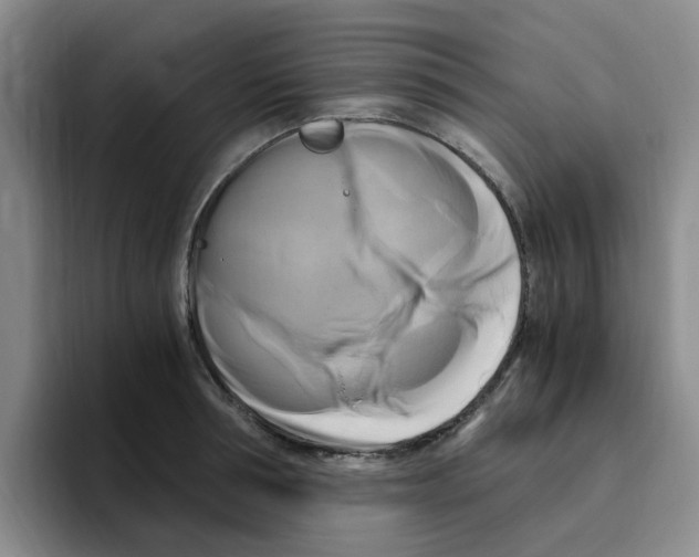 X0000096160994200802151411