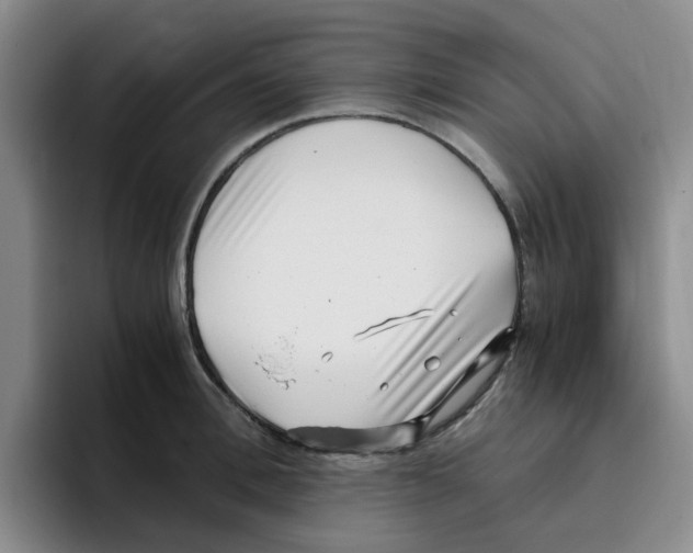 X0000096160996200802151411