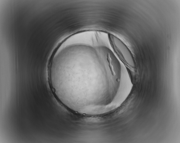 X0000096160998200802151411