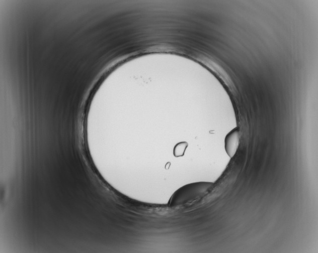 X0000096161000200802151411