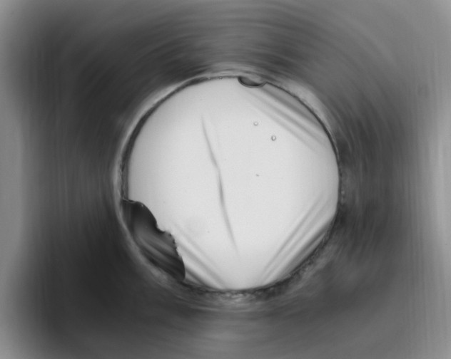 X0000096161003200802151411