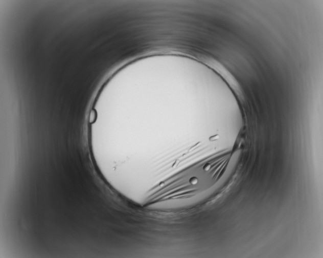 X0000096161004200802151411