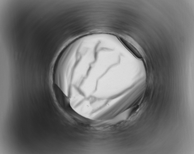 X0000096161005200802151411