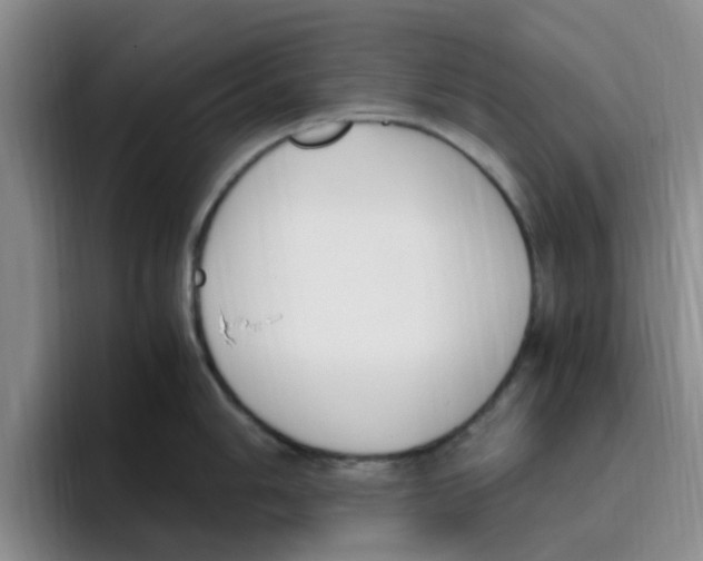 X0000096161006200802151411