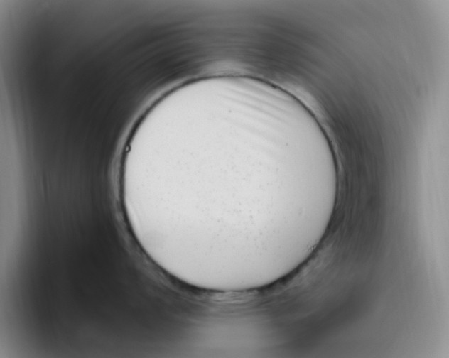 X0000096161008200802151411