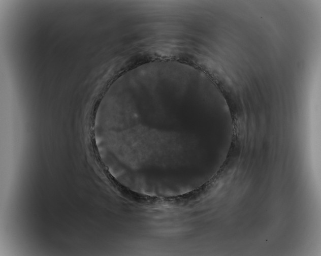 X0000096161009200802151410