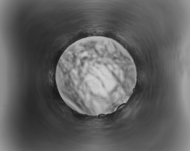 X0000096161010200802151410