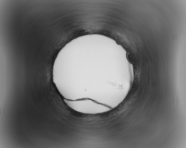 X0000096161012200802151410