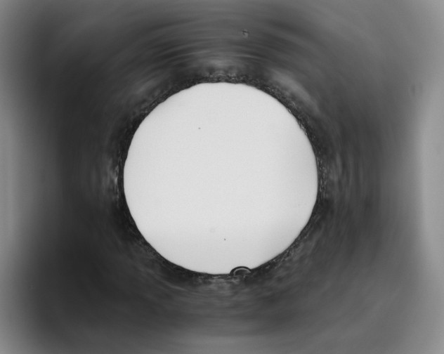 X0000096161013200802151410