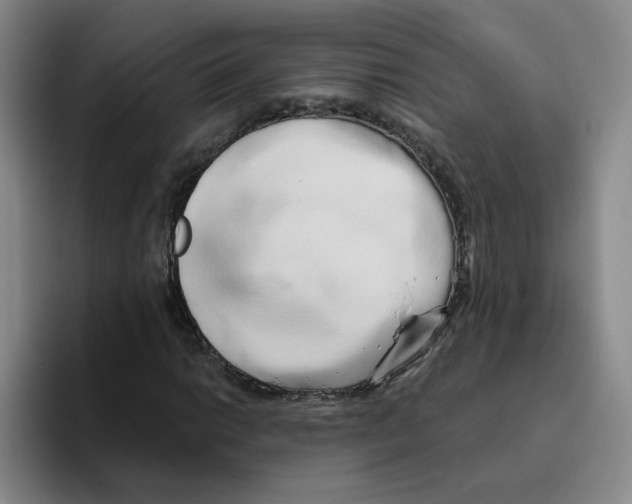 X0000096161014200802151410