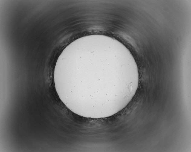 X0000096161015200802151410