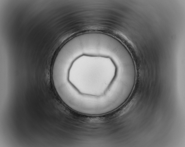 X0000096161025200802151410