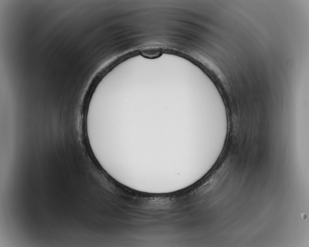 X0000096161029200802151410