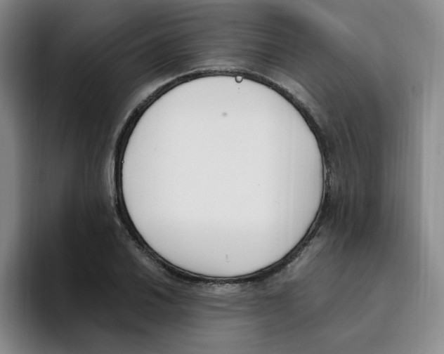 X0000096161030200802151410