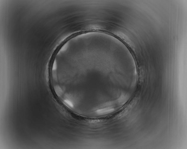 X0000096161031200802151410