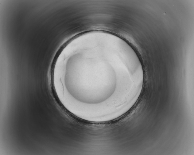 X0000096161032200802151410