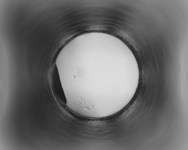 X0000096161033200802151410