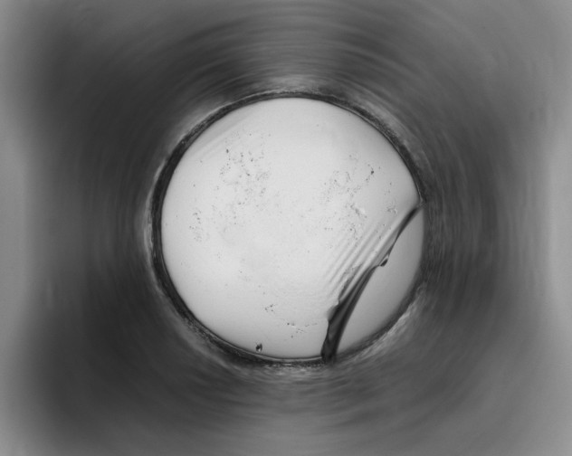 X0000096161034200802151410