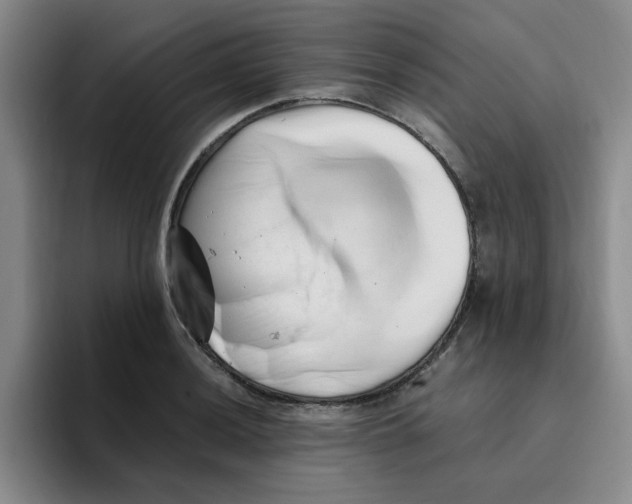 X0000096161036200802151411