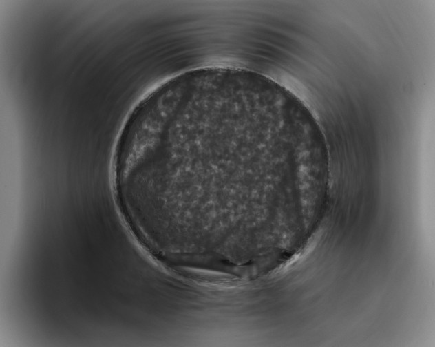 X0000096161037200802151411