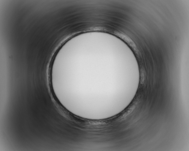 X0000096161039200802151411