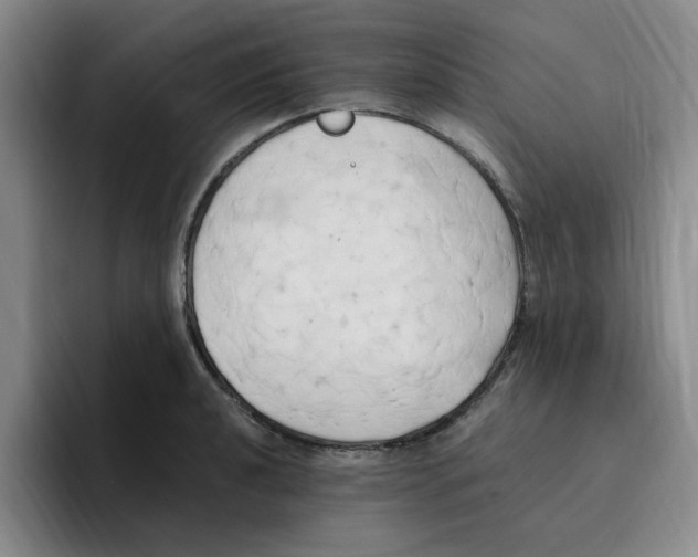 X0000096161040200802151411