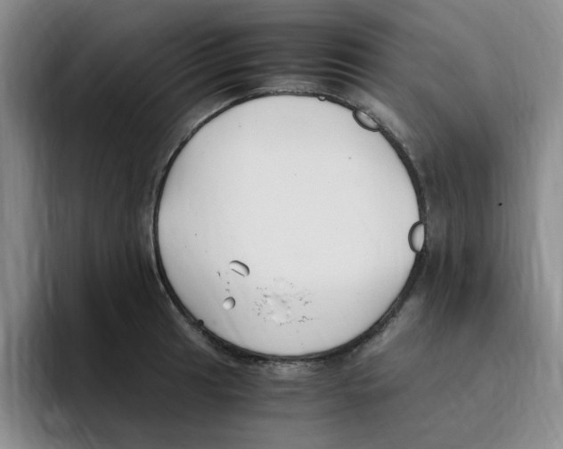 X0000096161041200802151411