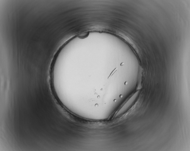 X0000096161042200802151411