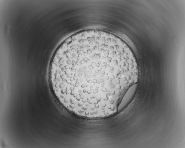 X0000096161044200802151411