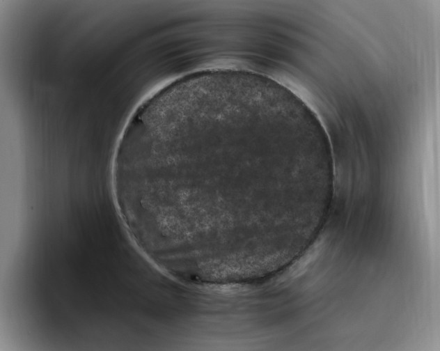 X0000096161045200802151411