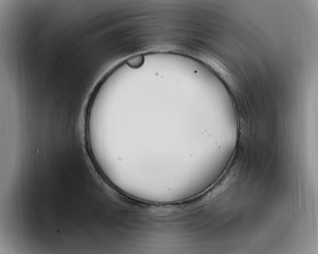 X0000096161046200802151411