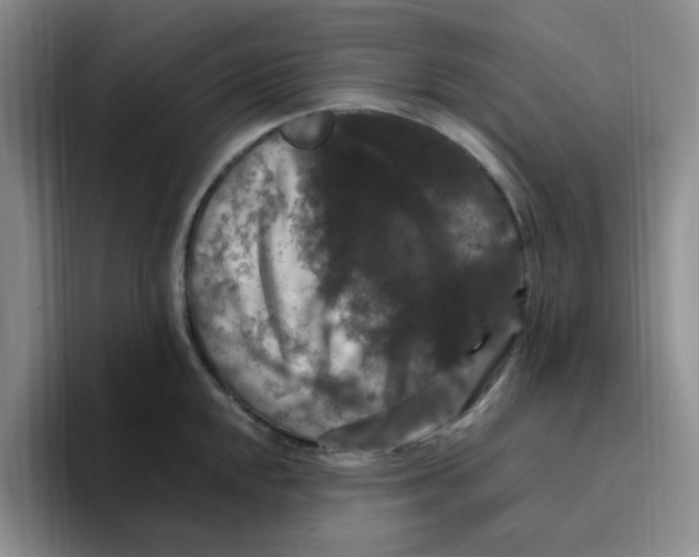 X0000096161048200802151411