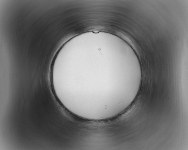 X0000096161050200802151411