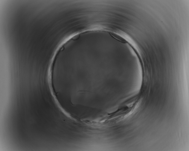 X0000096161053200802151411