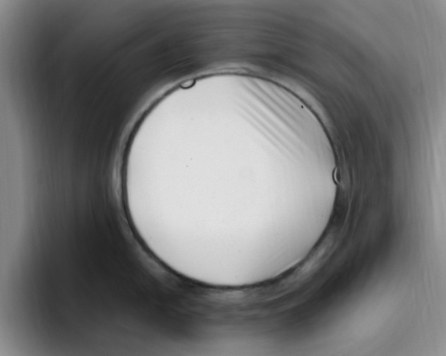 X0000096161054200802151411